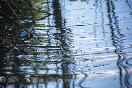 Image of rippling water at the UC Merced campus.
