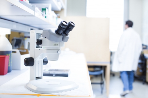 A microscope is shown in the foreground with a faculty member wearing a lab coat in the background.