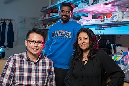 Professors Vincent Tung and Sayantani Ghosh (front) and graduate student Som Sarang have been busy with research and publications about perovskite solar cells.