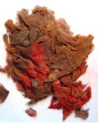 Cloth remains found by Professor Mark Aldenderfer.