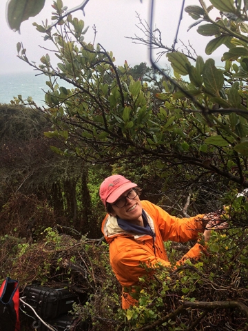 Professor Elliott Campbell works among the coastal ecosystems, addressing climate-related questions.