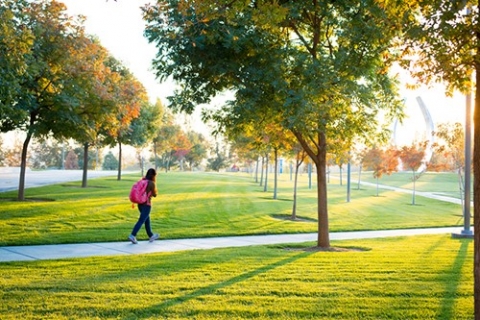 Green lawns on campus don't mean the university is ignoring the drought.