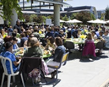 Staff members enjoy the annual picnic.