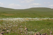 The Merced Vernal Pools and Grassland Reserve is featured in the first "BIOTA" documentary.