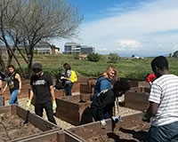 UC Merced students at work in the campus's community garden.