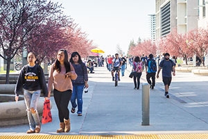 UC Merced’s applications from California high school seniors reflect the campus’s diversity.