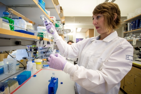 Professor Anna Beaudin is still setting up her lab, having just arrived this summer.