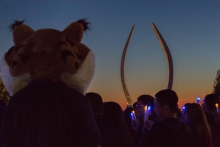 Image of UC Merced mascot Rufus Bobcat facing the Beginnings sculpture at dusk.