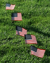 Five small flags of the United States and planted in green grass.